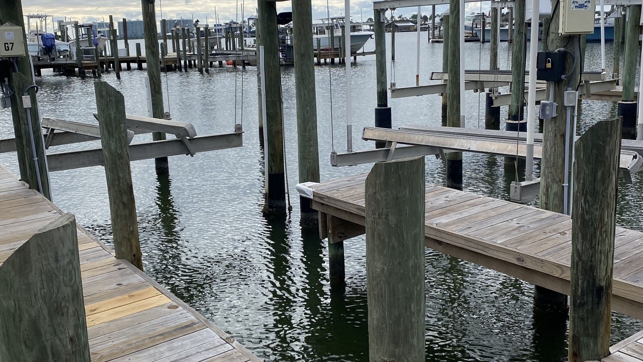 Photo of Others in Orange Beach