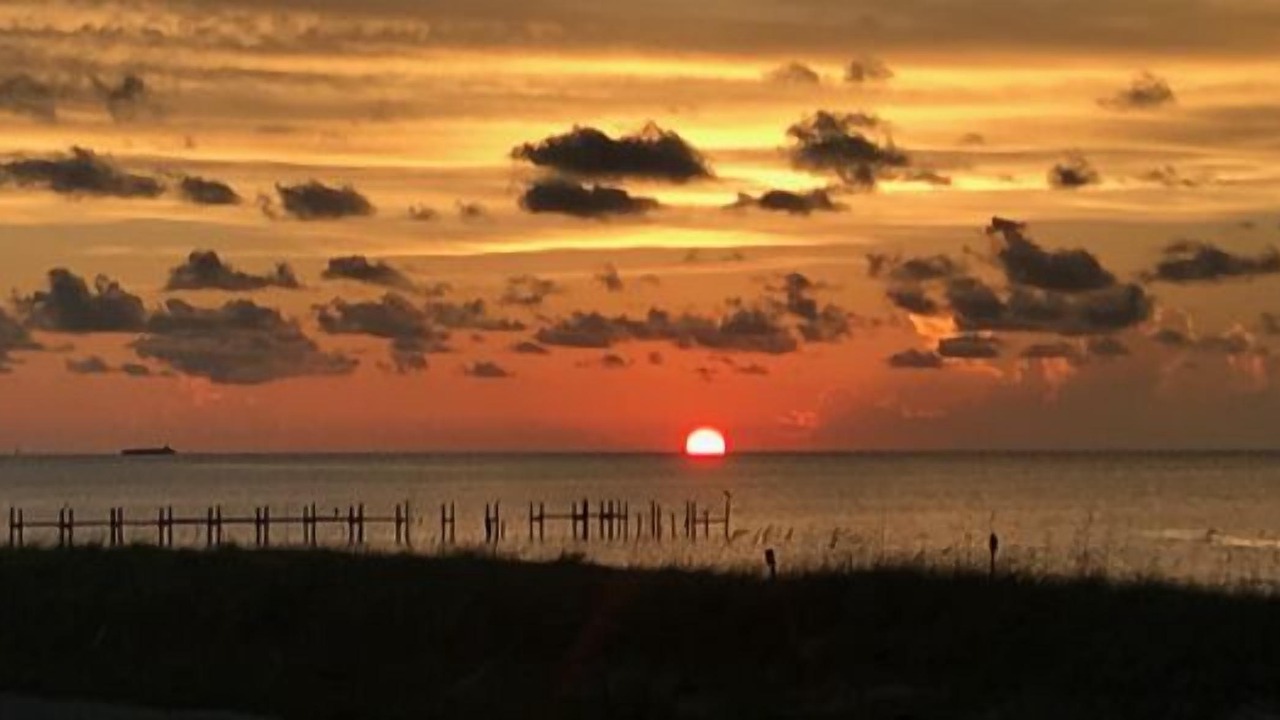 Photo of Others in Dauphin Island