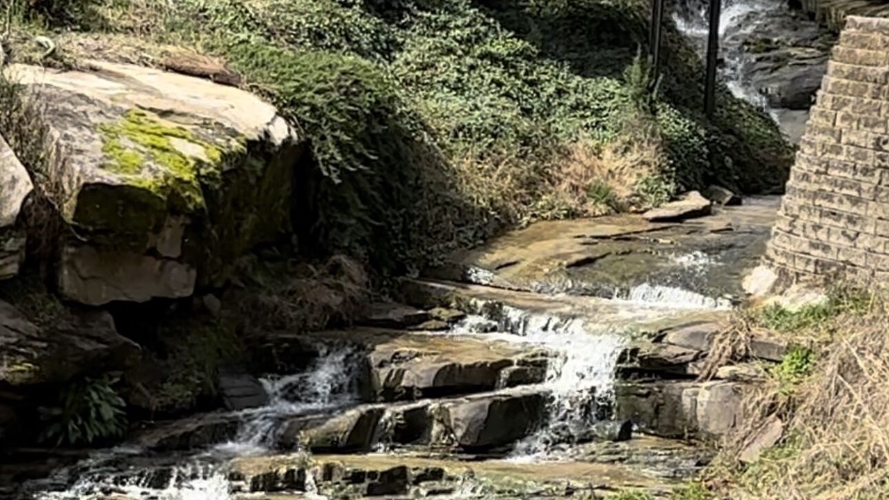 Photo of Outdoor in Crane Hill