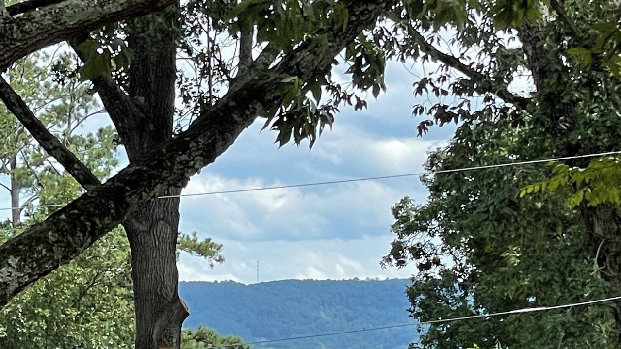 Photo of Outdoor in Guntersville