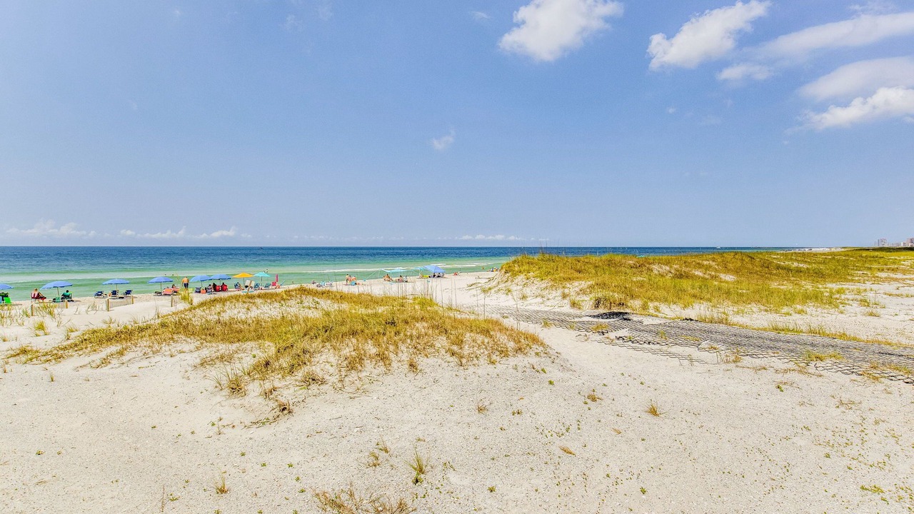 Photo of Others in Orange Beach East