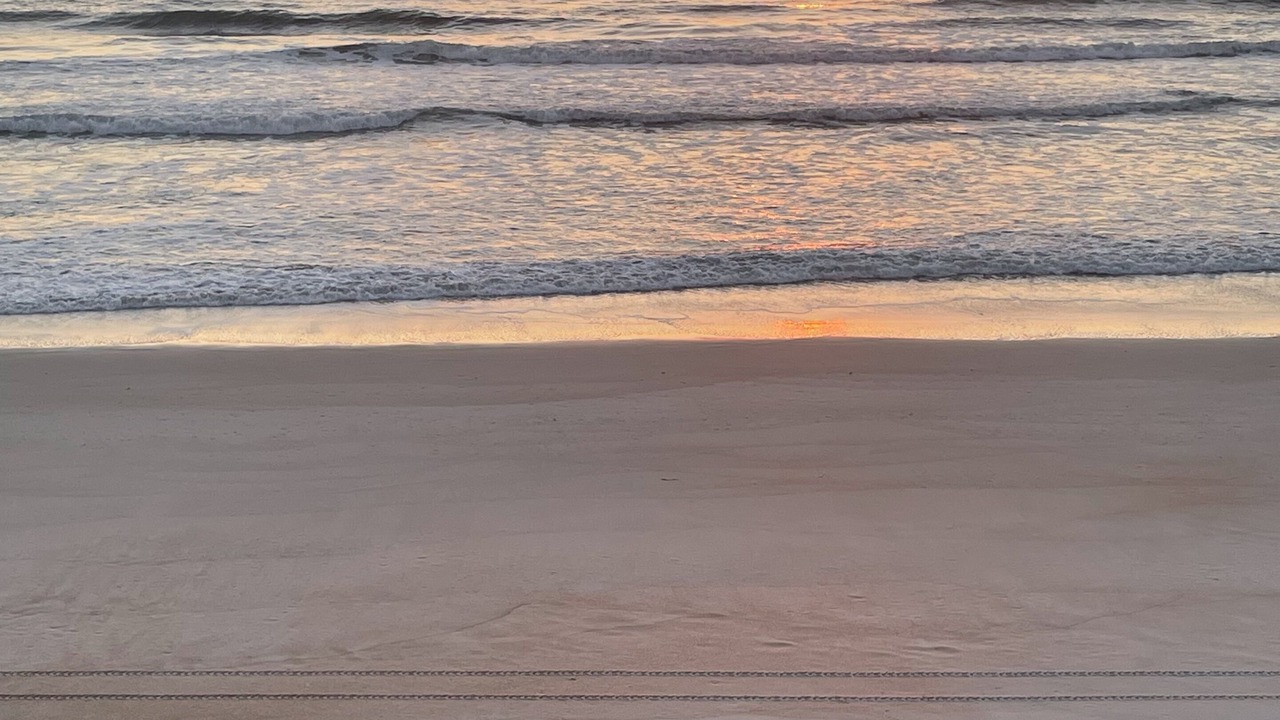 Photo of Others in South Ponte Vedra Beach