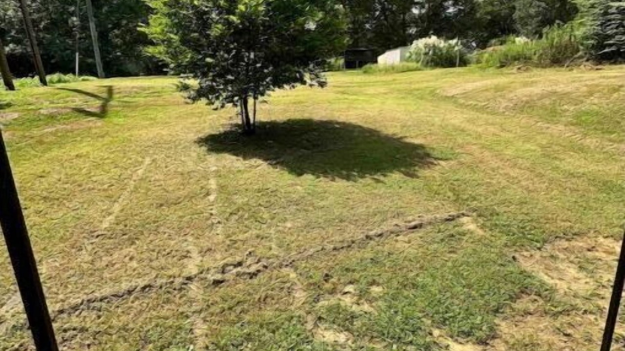 Photo of Outdoor in Cottondale