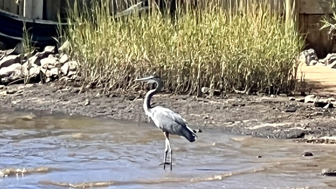 Photo of Others in Fairhope