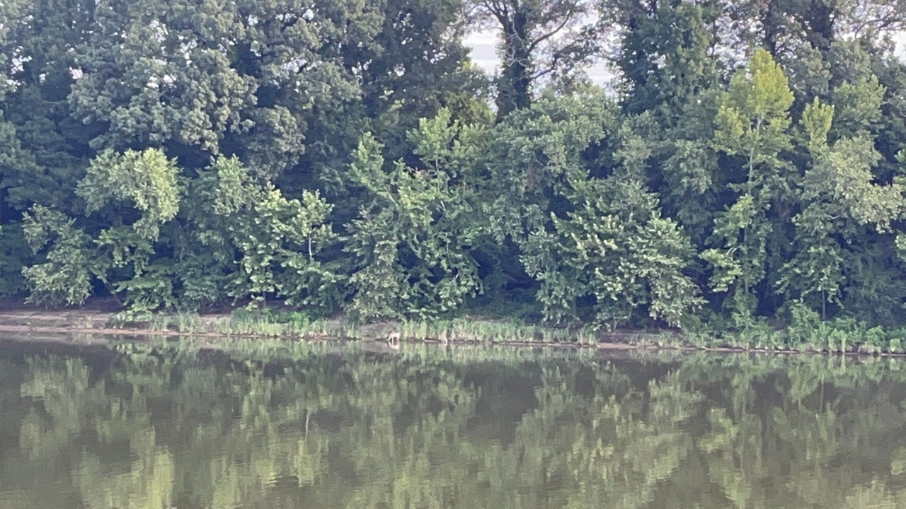 Photo of Others in Moundville