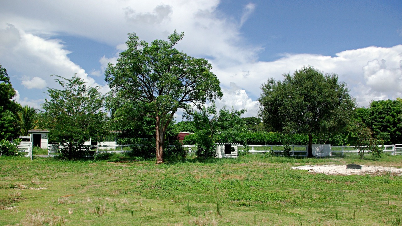 Photo of Outdoor in Homestead