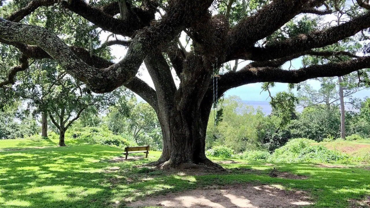 Photo of Outdoor in Fairhope