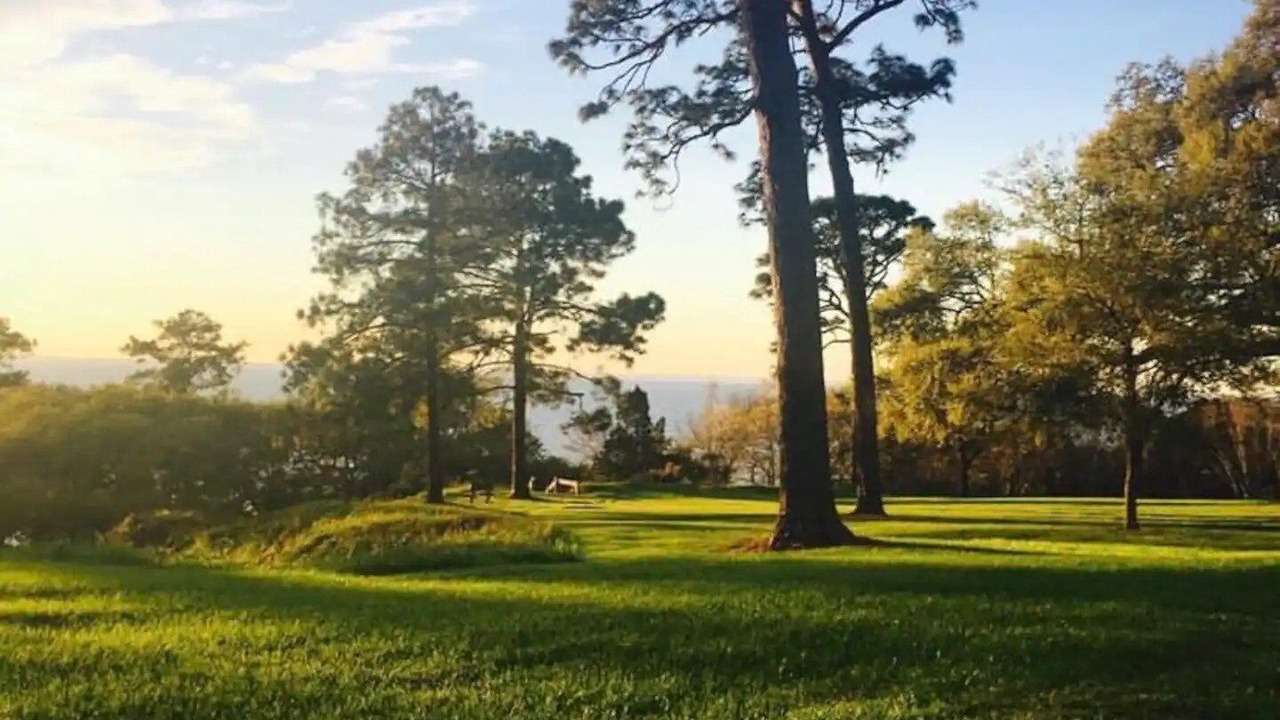 Photo of Others in Fairhope