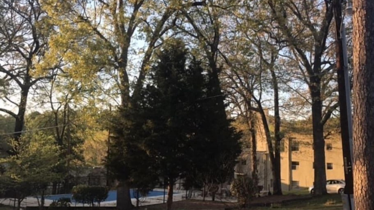 Photo of Outdoor in Anniston