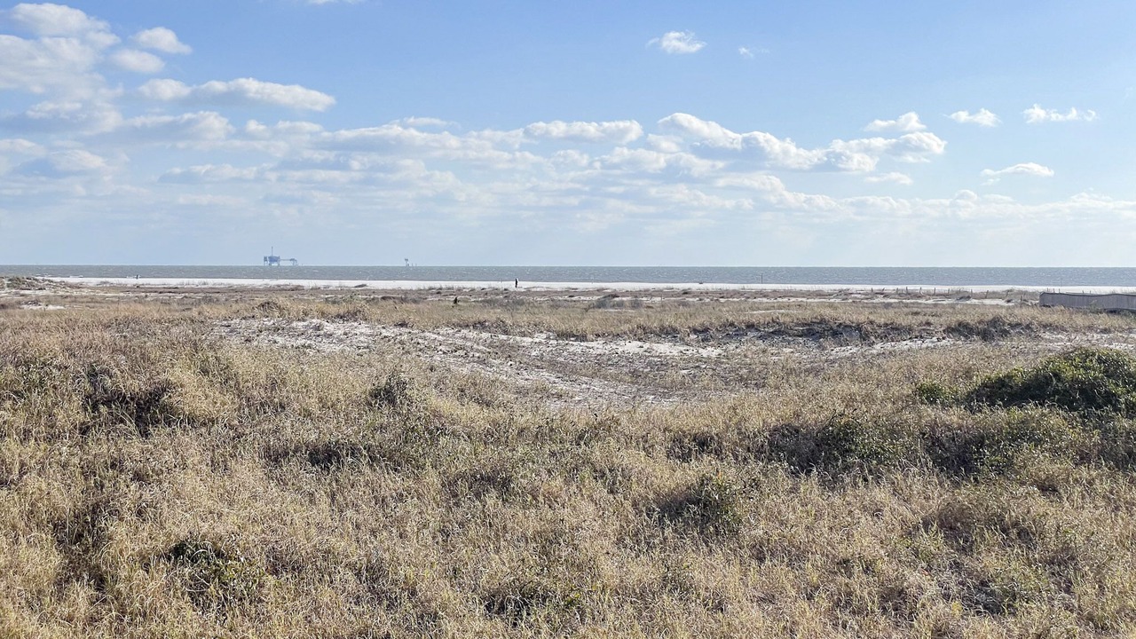 Photo of Others in Dauphin Island