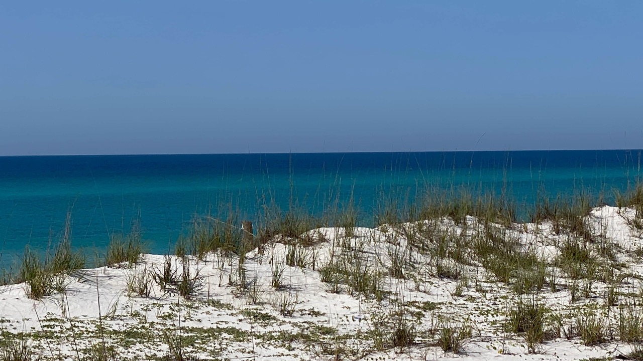Photo of Others in Pensacola Beach