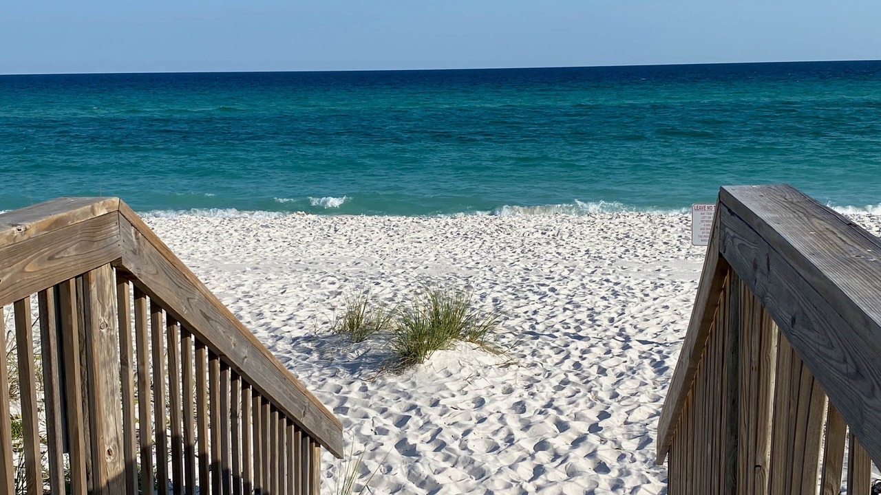 Photo of Others in Pensacola Beach