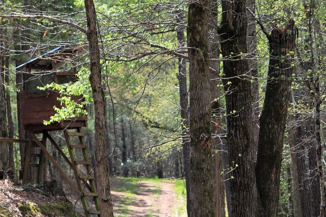 Photo of Outdoor in Valley