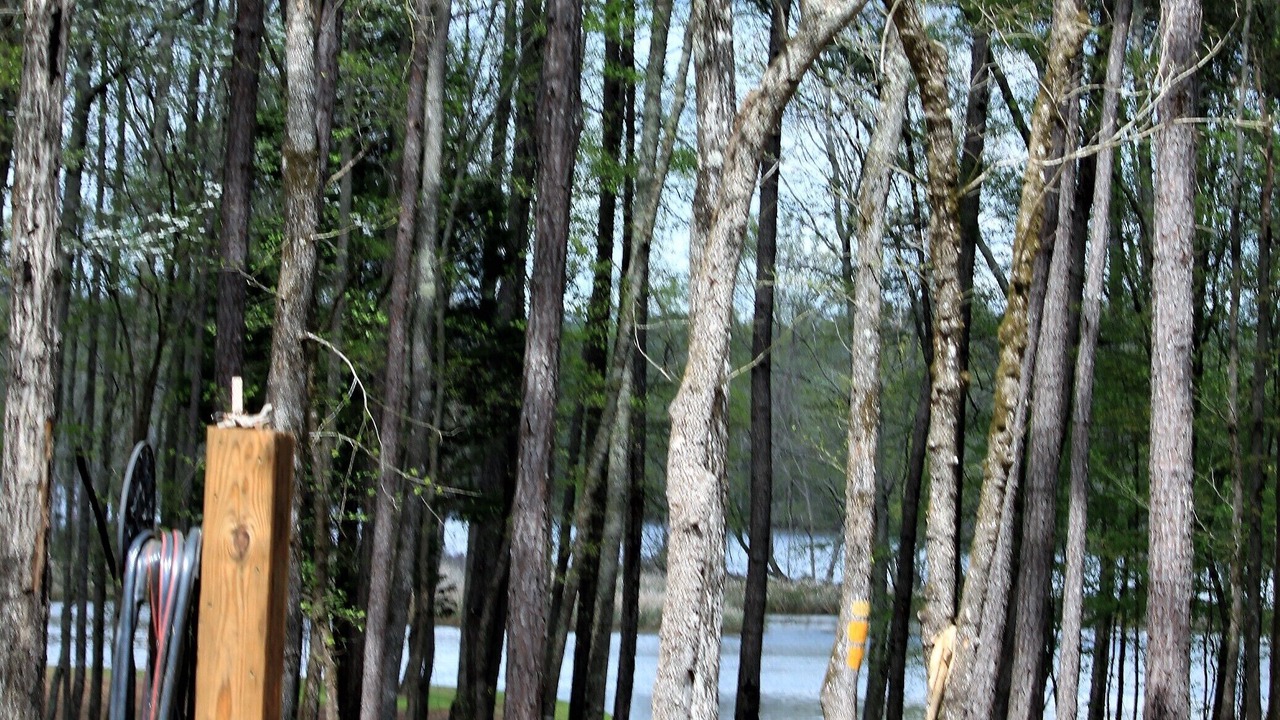 Photo of Others in Valley