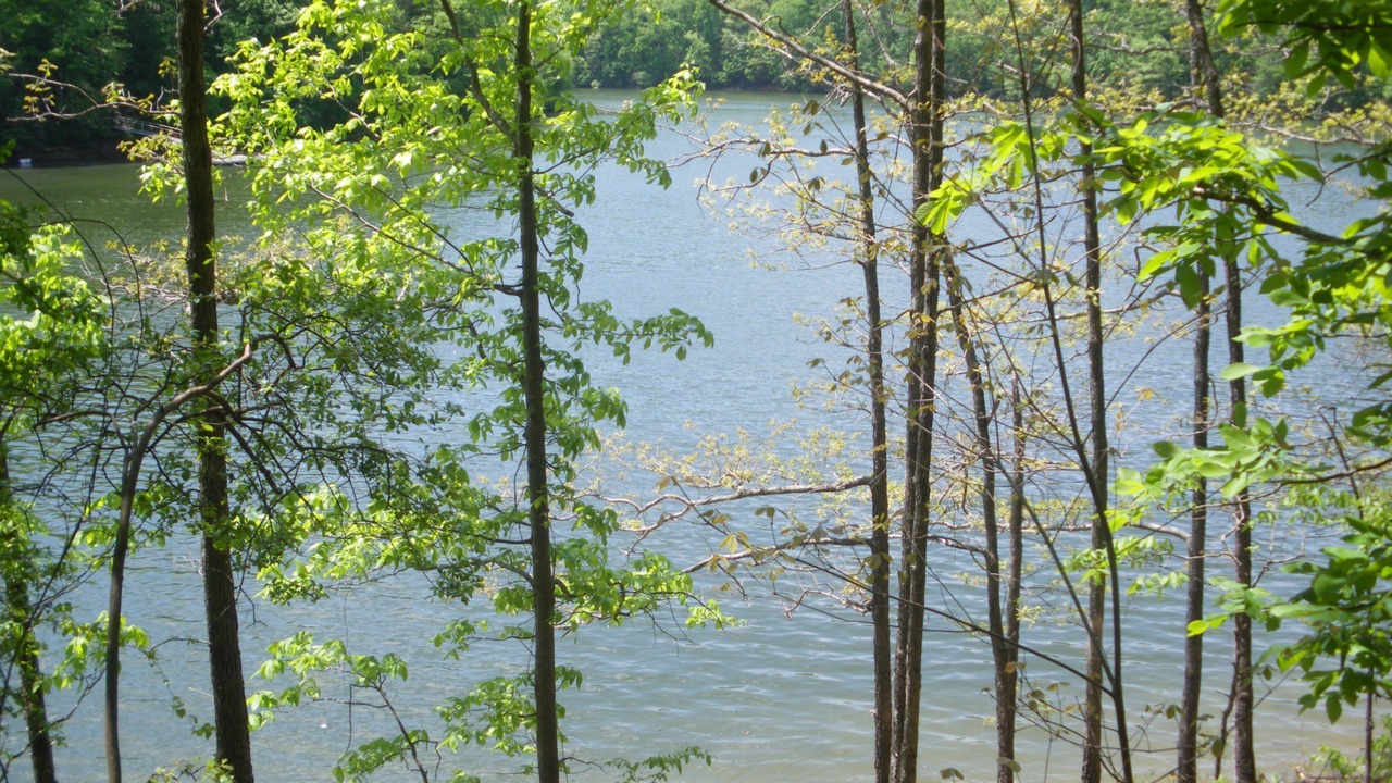 Photo of Outdoor in Arley