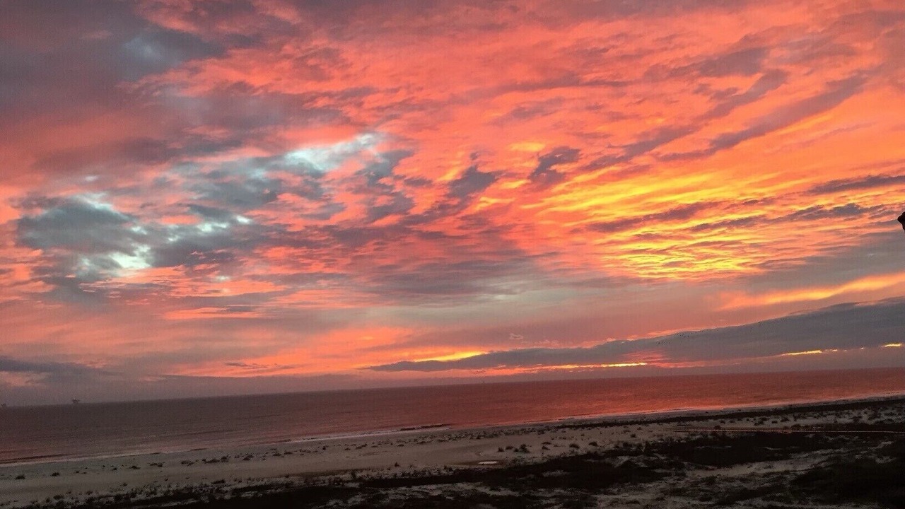 Photo of Others in Dauphin Island