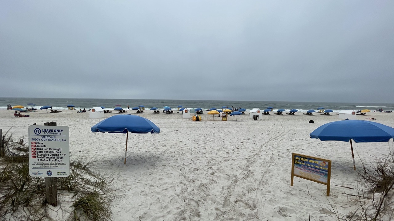 Photo of Others in Orange Beach