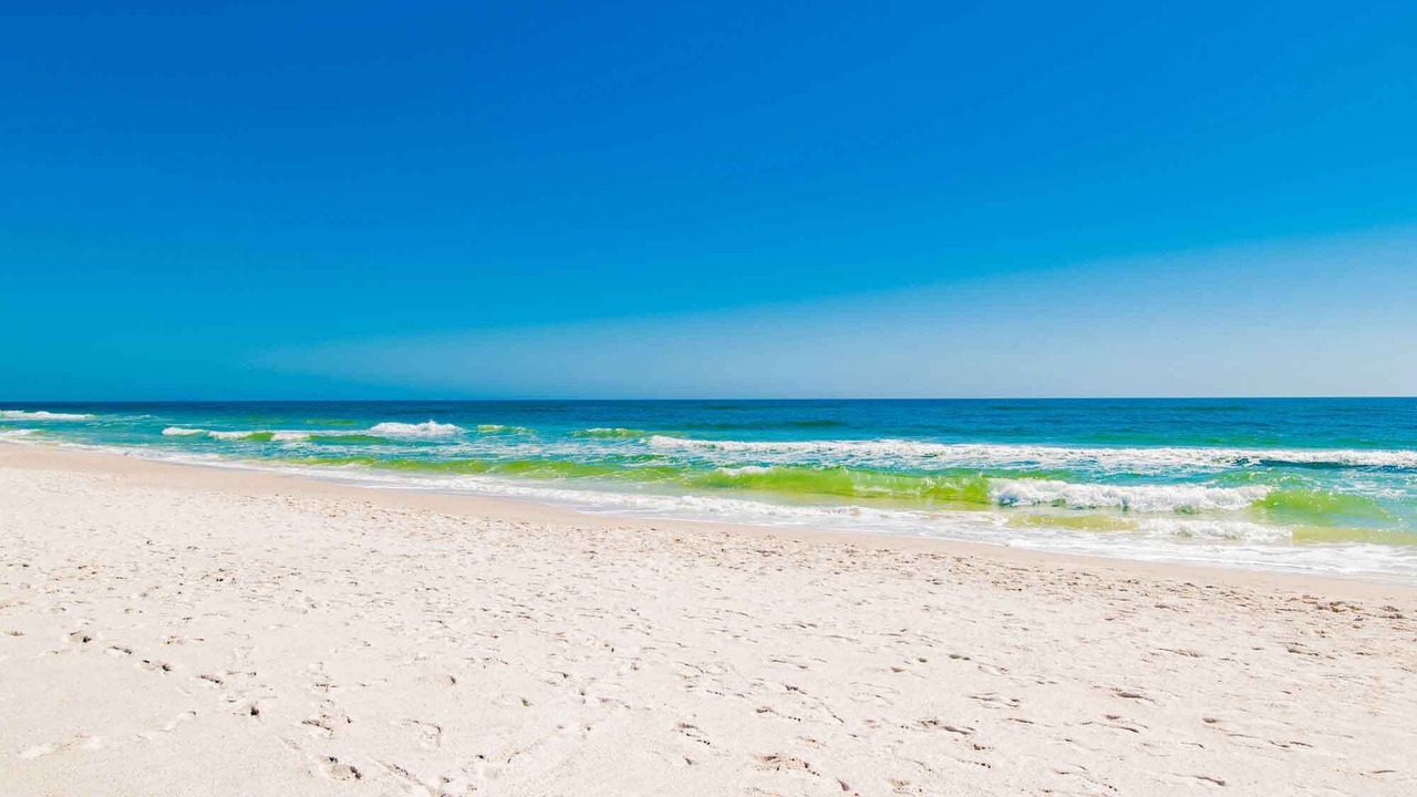Photo of Others in Gulf Shores