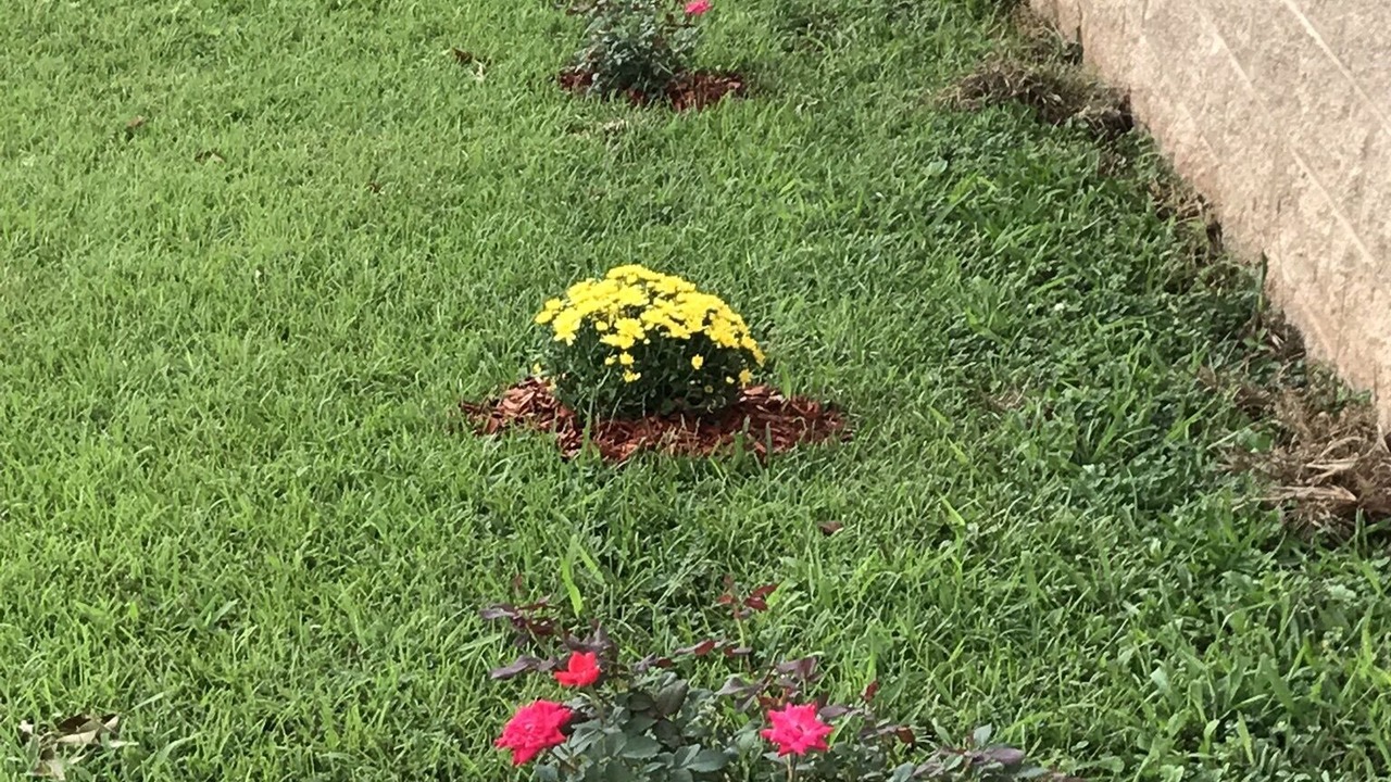 Photo of Outdoor in Shannon