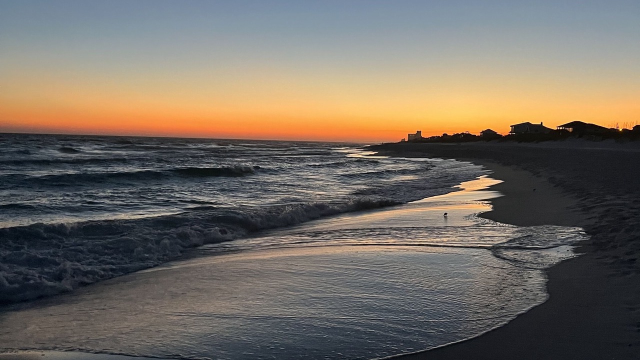 Photo of Others in Pensacola Beach