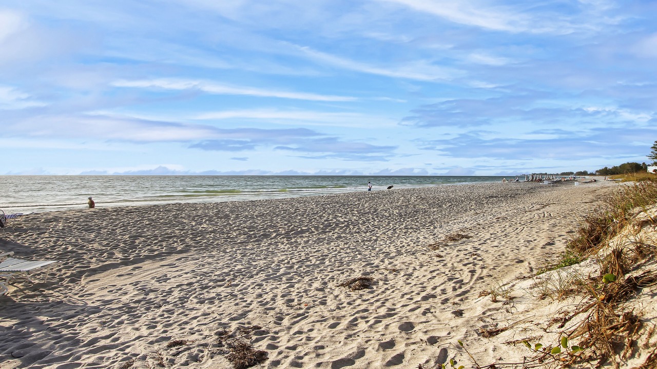 Photo of Others in Whitney Beach