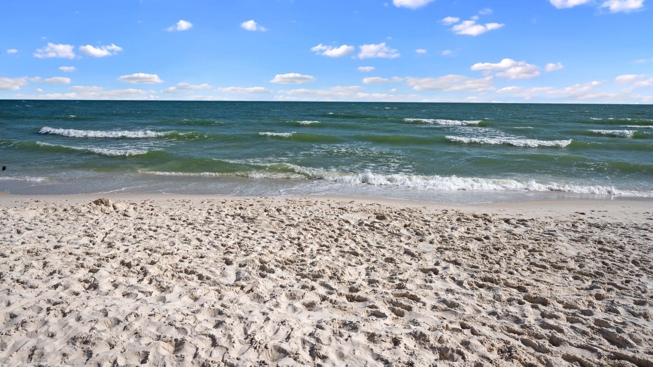 Photo of Others in Gulf Shores
