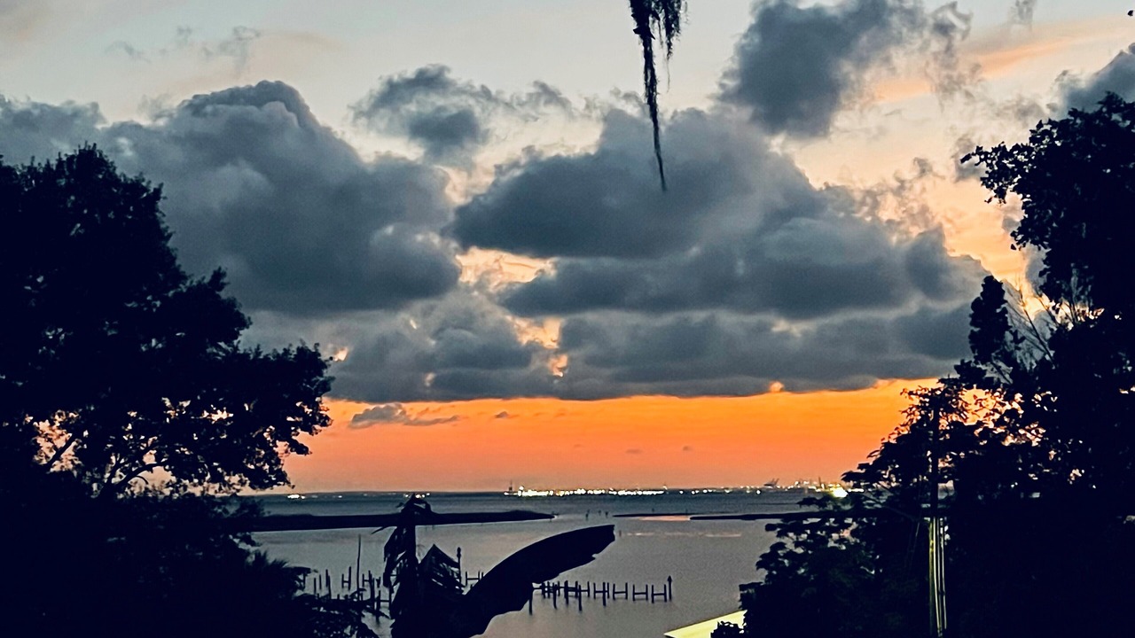 Photo of Others in Daphne
