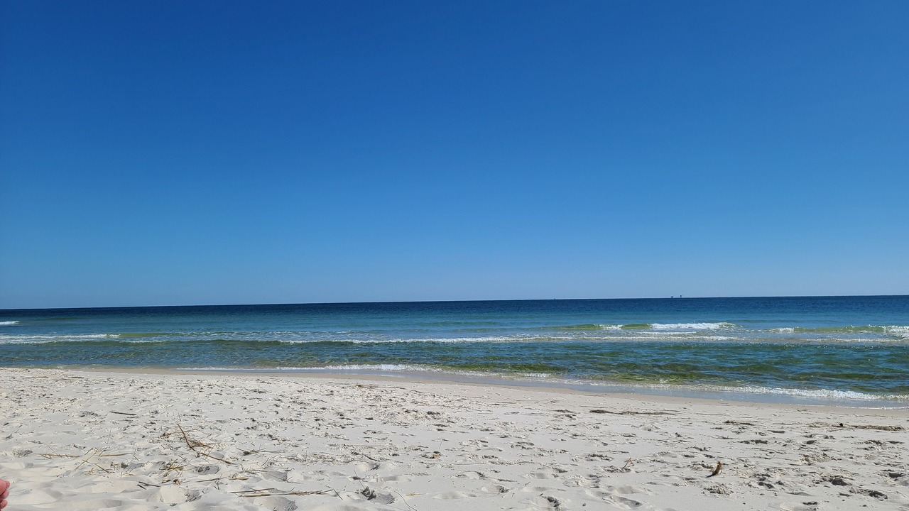 Photo of Others in Surf Side Shores