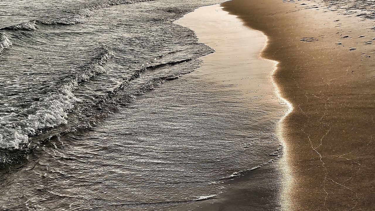 Photo of Others in Surf Side Shores