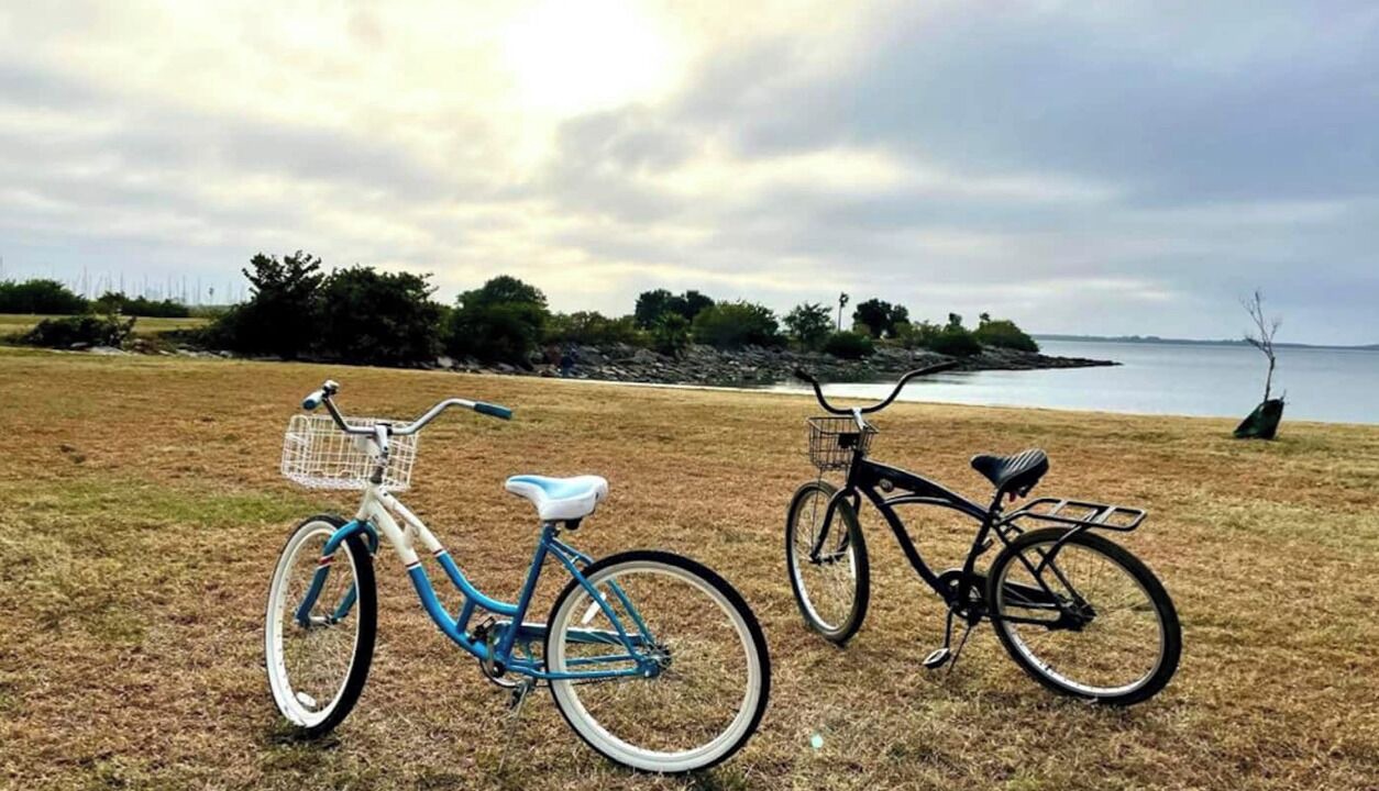 Photo of Others in Davis Islands