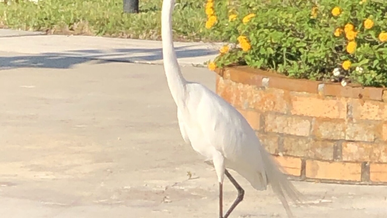 Photo of Outdoor in Homosassa