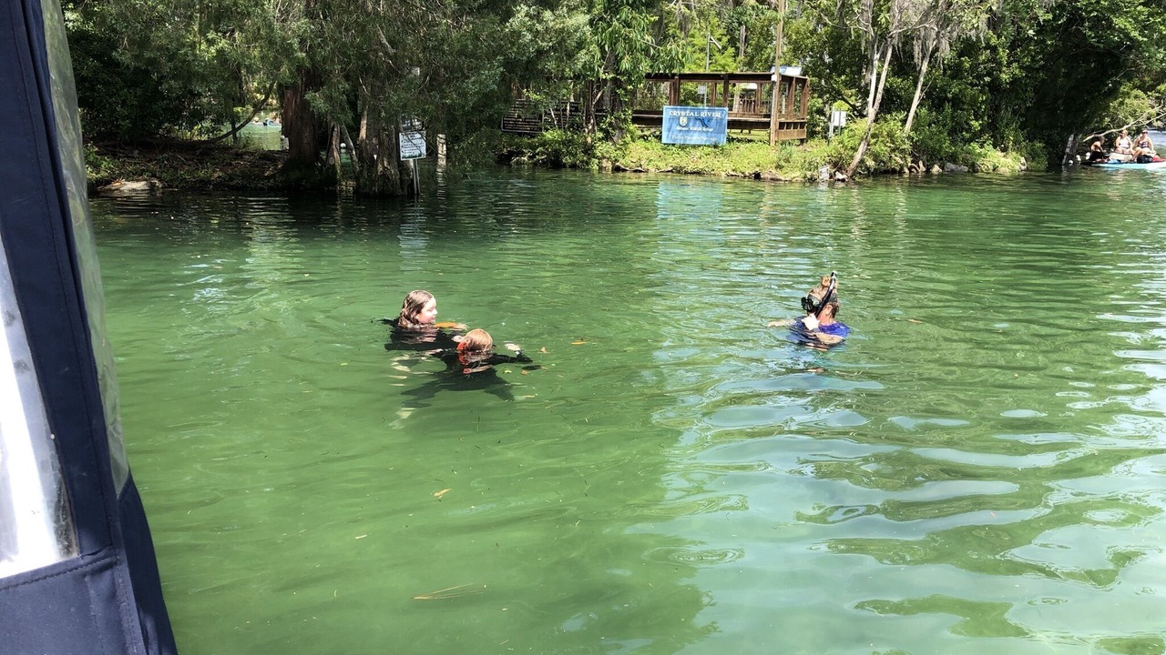 Photo of Others in Homosassa