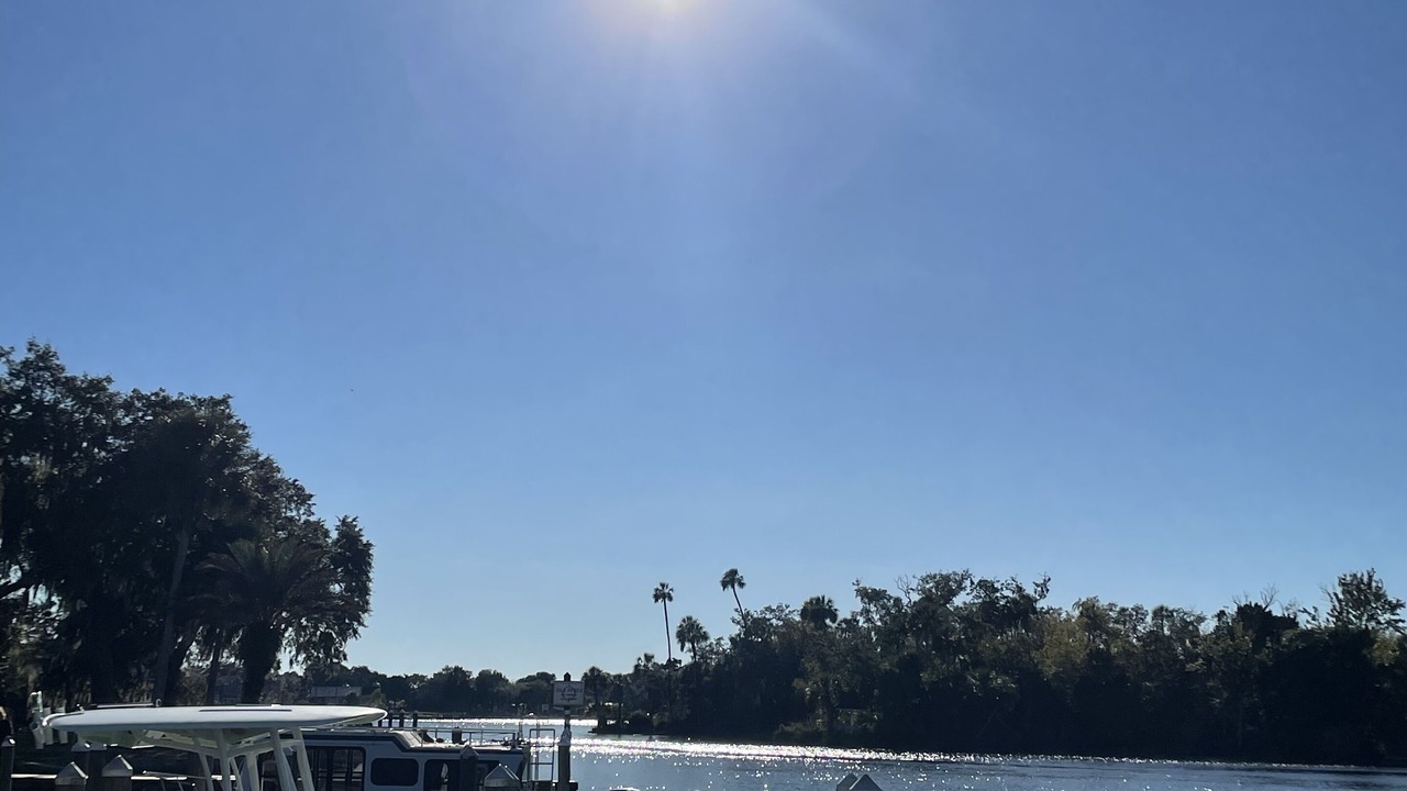Photo of Others in Homosassa