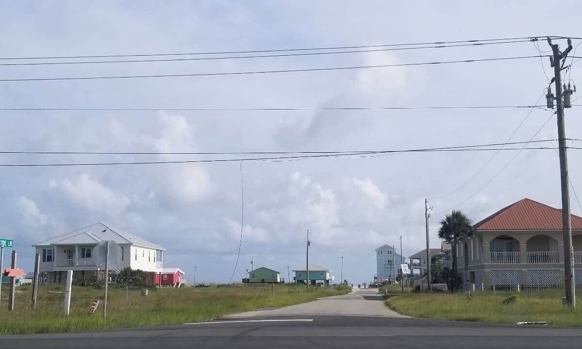 Photo of Others in Fort Morgan Pines