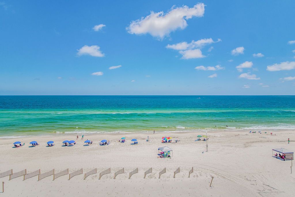 Photo of Others in Orange Beach East