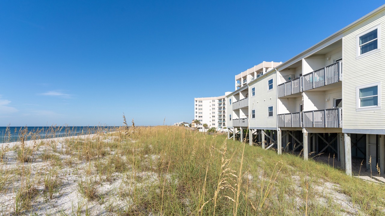 Photo of Others in Pensacola Beach
