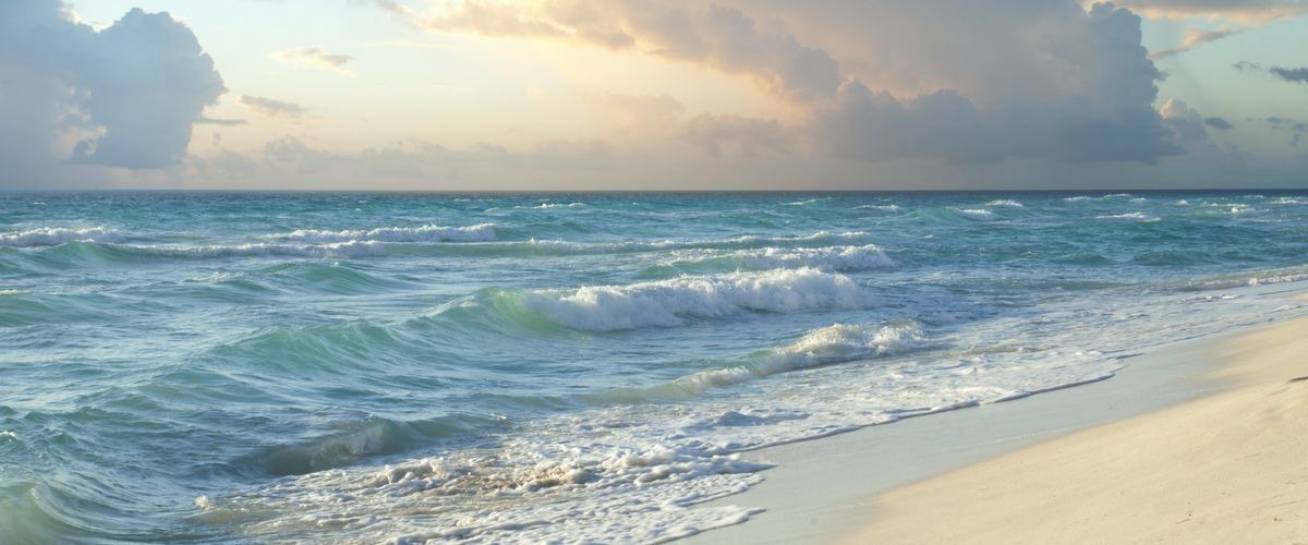 Photo of Others in Surf Side Shores