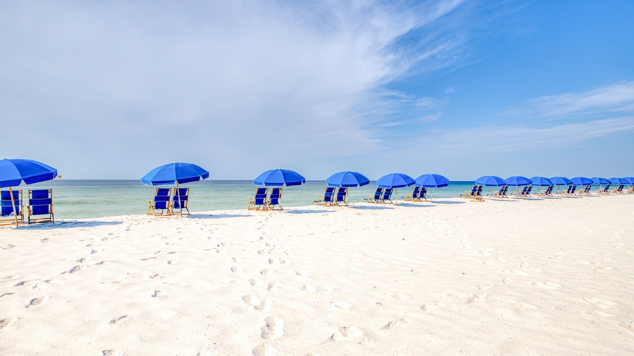 Photo of Others in Orange Beach East