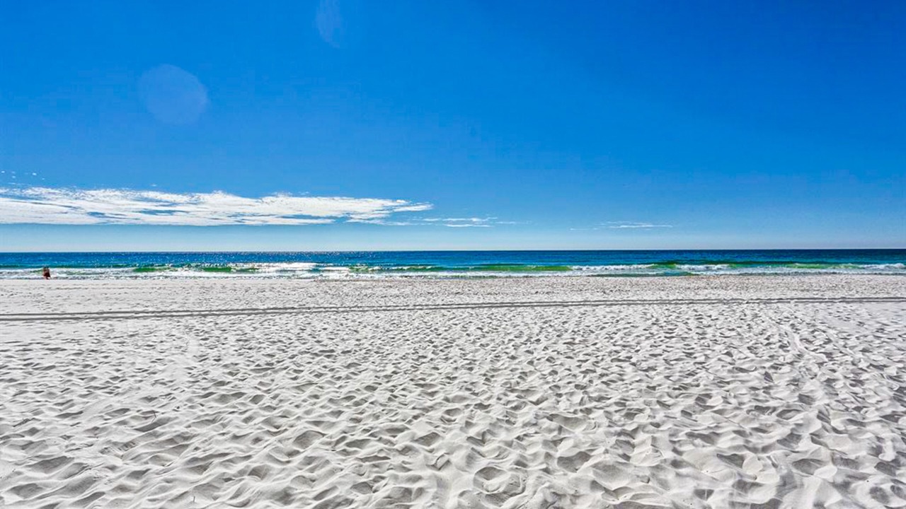 Photo of Others in Orange Beach East