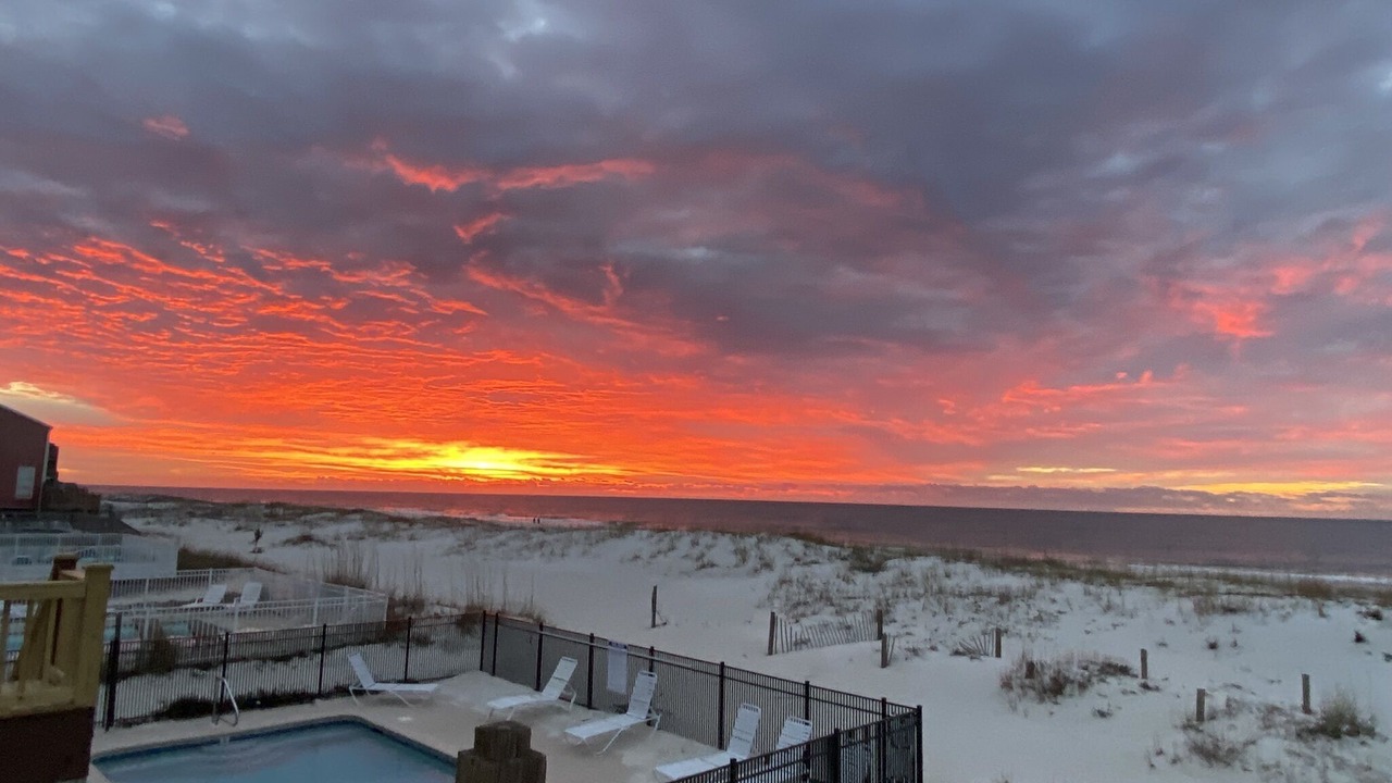 Photo of Others in Gulf Shores
