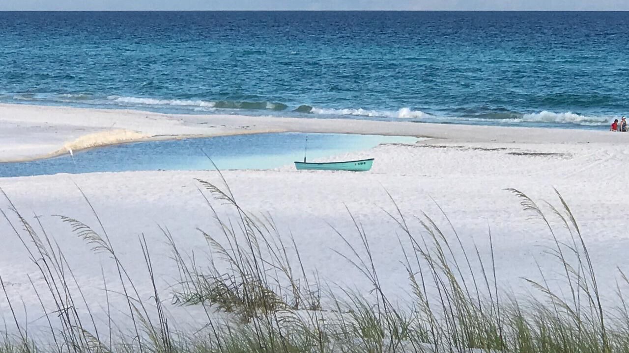 Photo of Others in Gulf Trace