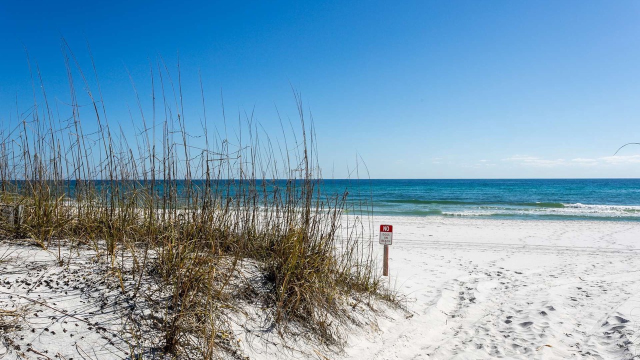 Photo of Others in Pensacola Beach