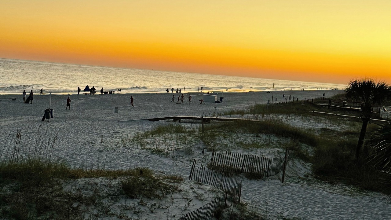 Photo of Others in Gulf Shores