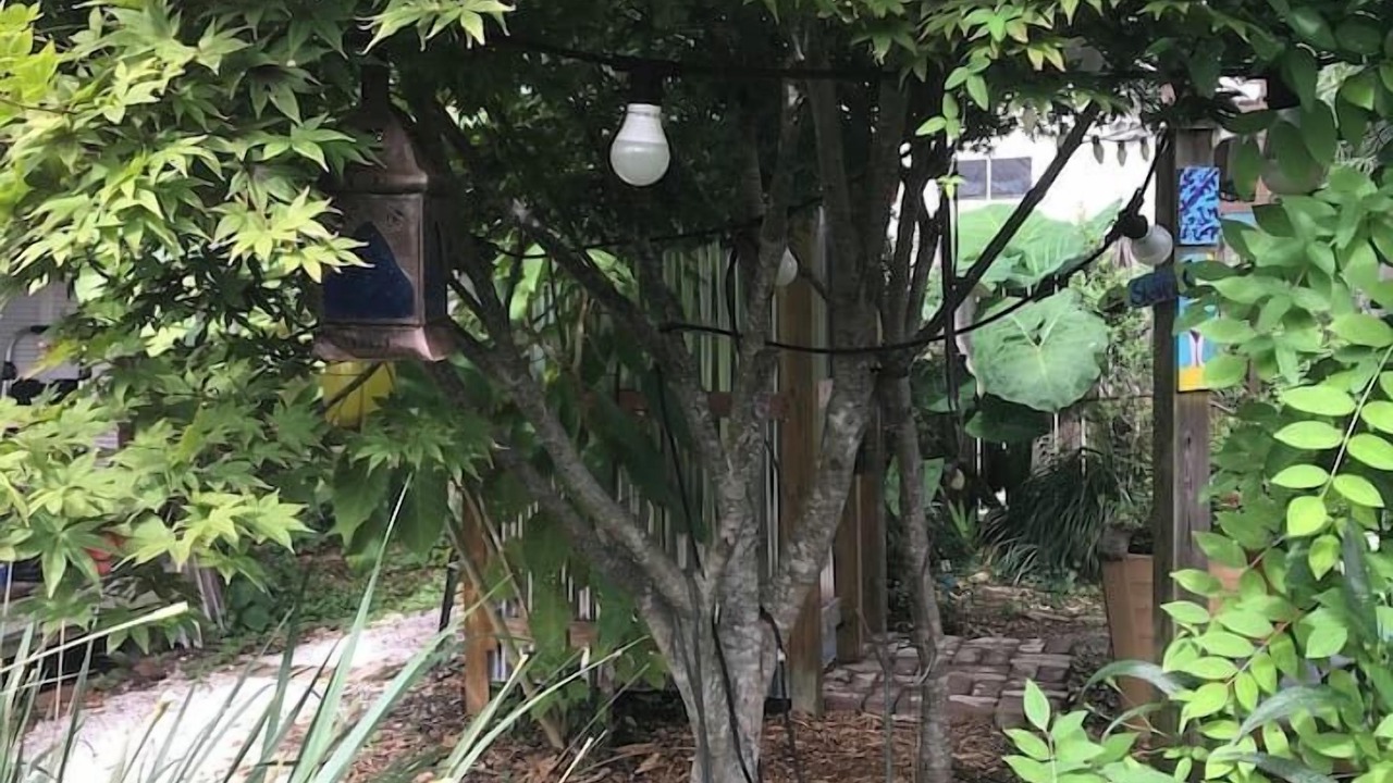 Photo of Outdoor in East Hill