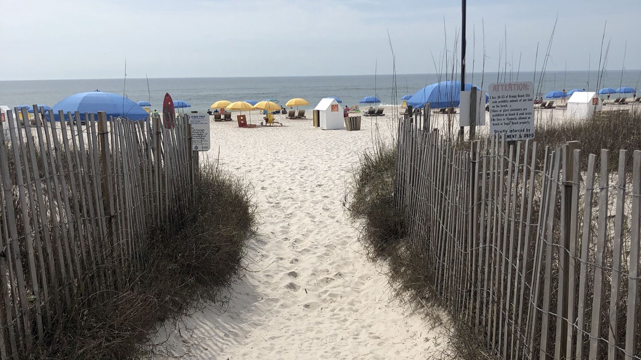 Photo of Others in Orange Beach