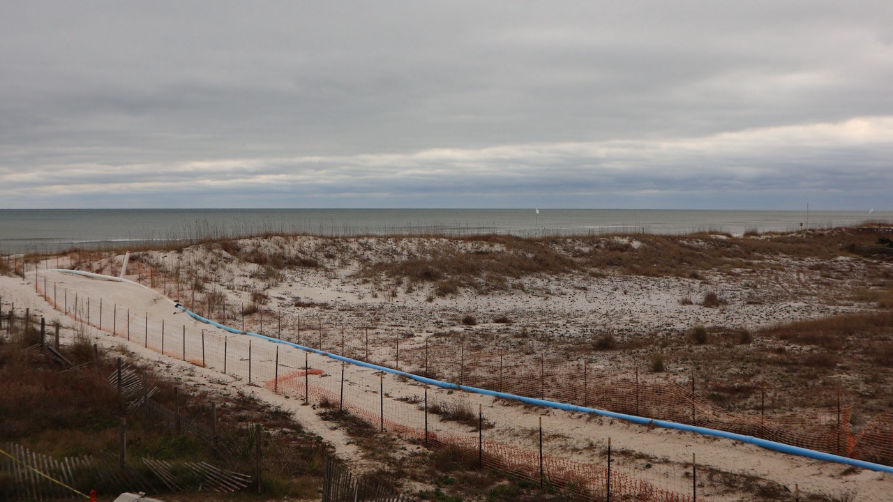 Photo of Others in Orange Beach