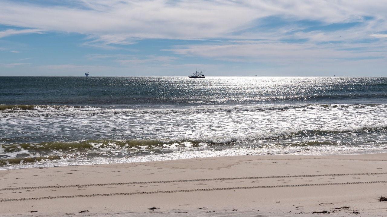 Photo of Others in Dauphin Island