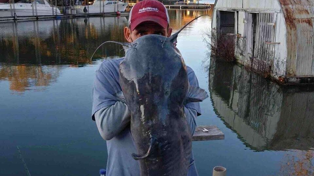 Photo of Others in Muscle Shoals