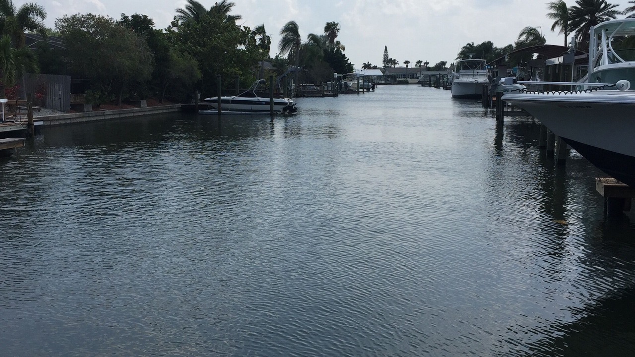 Photo of Outdoor in Apollo Beach