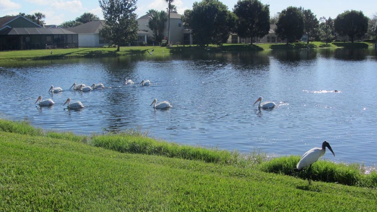 Photo of Outdoor in Beachwalk Isles